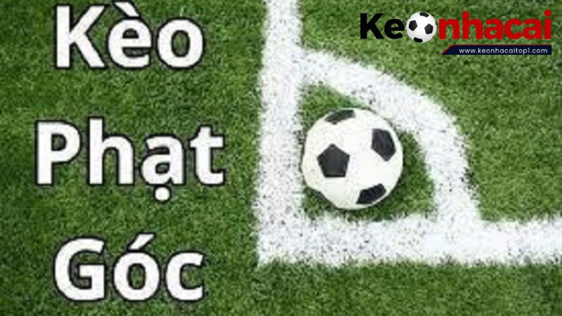 Cách tính tiền thắng kèo góc chi tiết cho người chơi mới Cách tính tiền thắng kèo góc chi tiết cho người chơi mới