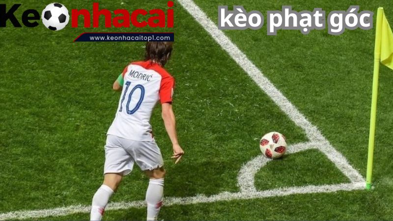 Cách xem kèo phạt góc chi tiết cho bet thủ Cách xem kèo phạt góc chi tiết cho bet thủ